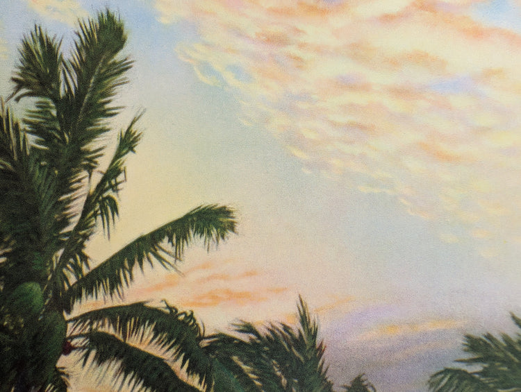 Palms at Sunset | Vintage Tropical Lithograph by F.D. Ogden