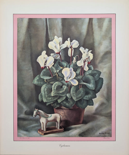 Cyclamen by Harry Lane | 1945 Vintage Lithograph | Still Life Floral Wall Art