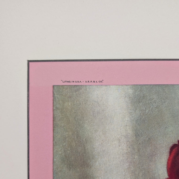 Roses by Harry Lane | 1945 Vintage Lithograph | Still Life Floral Wall Art