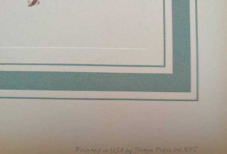 Clematis by Dorothy Platt | 1950 Vintage Botanical Collotype | Queen of Climbers Wall Art