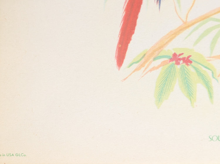 South American Macaw by Gould | 1940s Vintage Lithograph | Tropical Bird Wall Art