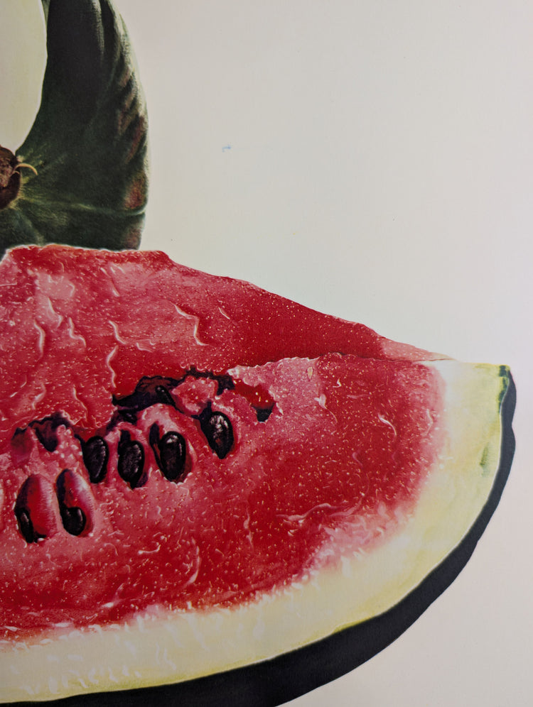 Watermelon by Agnes Potter Lowrie | 1951 Mid-Century Kitchen Wall Art | Large Vintage Fruit Print