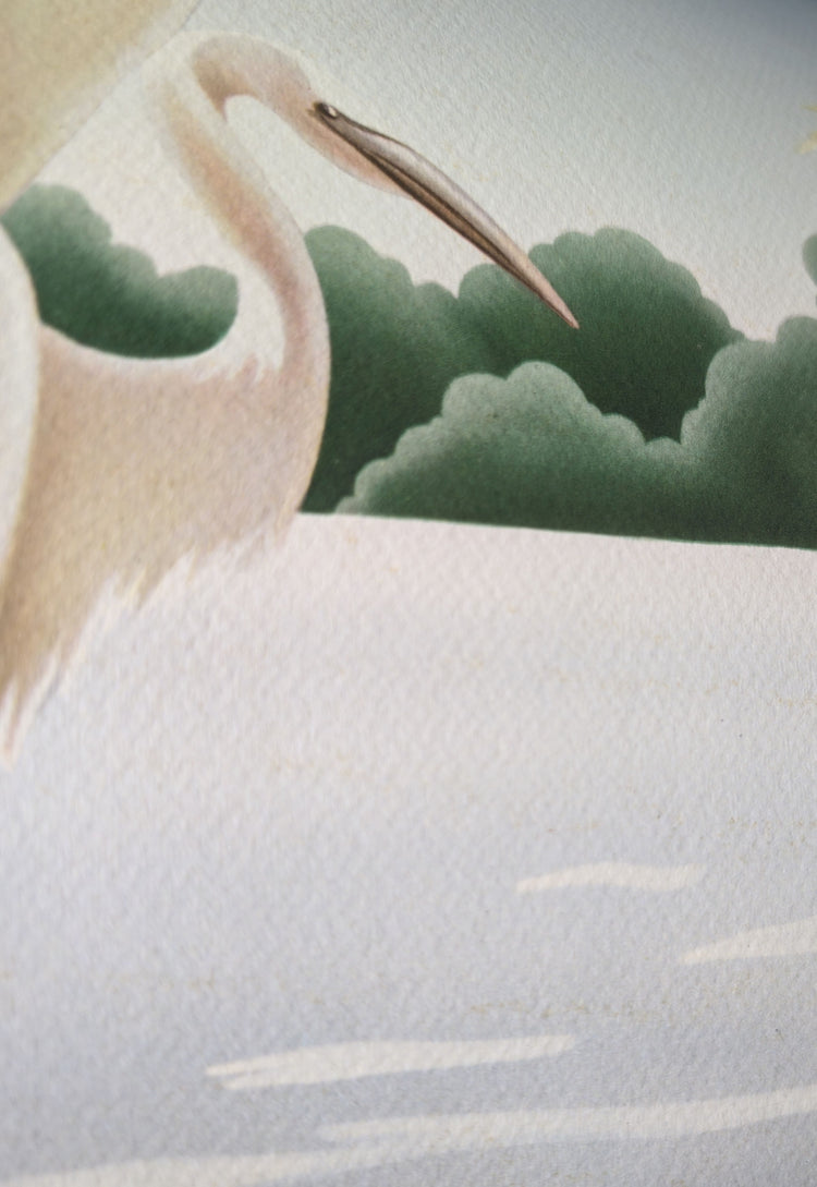 Turner Egrets | Premium Giclee Reproduction | Vintage Bird Art