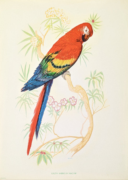 Colorful parrot illustration on a branch with leaves and flowers