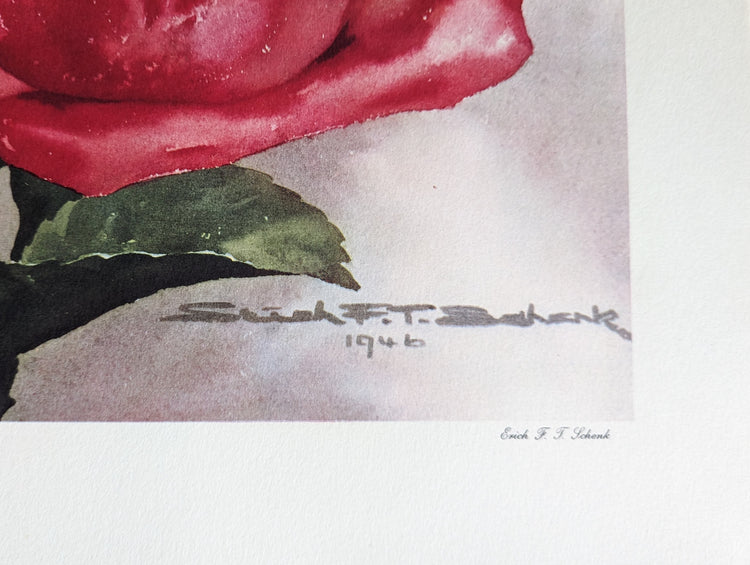 American Beauty Rose by Erich F.T. Schenk | 1940s Vintage Floral Lithograph | Romantic Wall Art