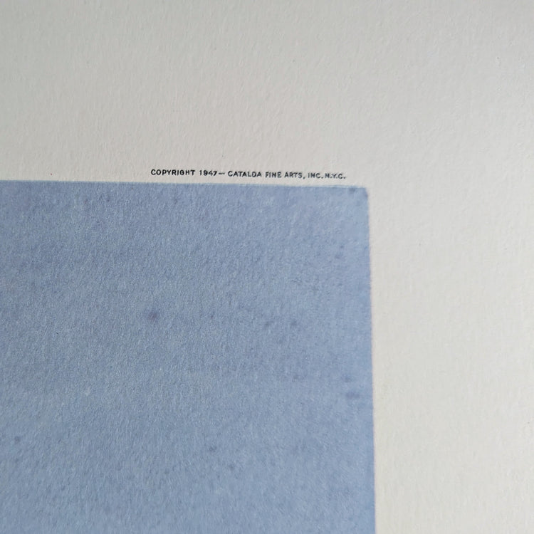 Sky Hibiscus by Erich F.T. Schenk | 1940s Vintage Floral Lithograph | Tropical Wall Art