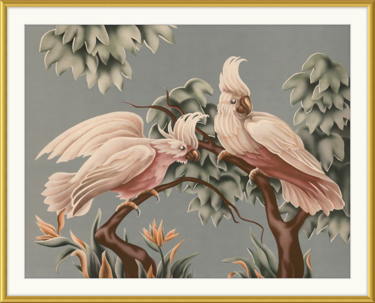 Custom Framed Turner White Cockatoos | Premium Giclee Print | Vintage Bird Lithograph