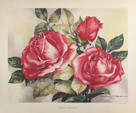 American Beauty Rose by Erich F.T. Schenk | 1940s Vintage Floral Lithograph | Romantic Wall Art - Offset Lithograph - Pink Flamingos