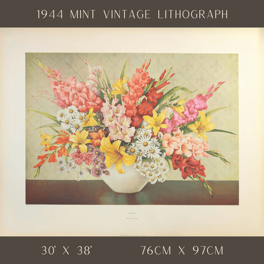 Gladiolus by Dimitry Alexandroff | 1940s Vintage Floral Lithograph | Large Botanical Wall Art - Offset Lithograph - Pink Flamingos