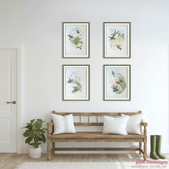 Gould Hummingbird Lithograph Set | 1946 Vintage Bird Prints | Mid - Century Wall Art - Offset Lithograph - Pink Flamingos