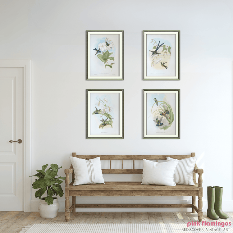 Gould Hummingbird Lithograph Set | 1946 Vintage Bird Prints | Mid - Century Wall Art - Offset Lithograph - Pink Flamingos