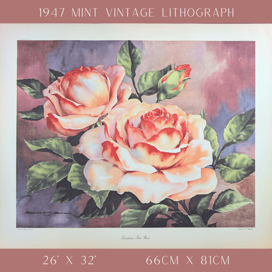 Luscious Tea Rose by Erich F.T. Schenk | 1940s Vintage Floral Lithograph | Romantic Wall Art - Offset Lithograph - Pink Flamingos