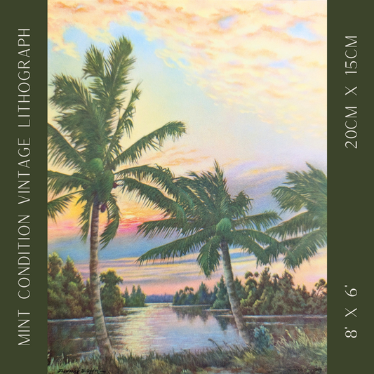 Palms at Sunset Vintage Tropical Lithograph by F.D. Ogden - Offset Lithograph - Pink Flamingos