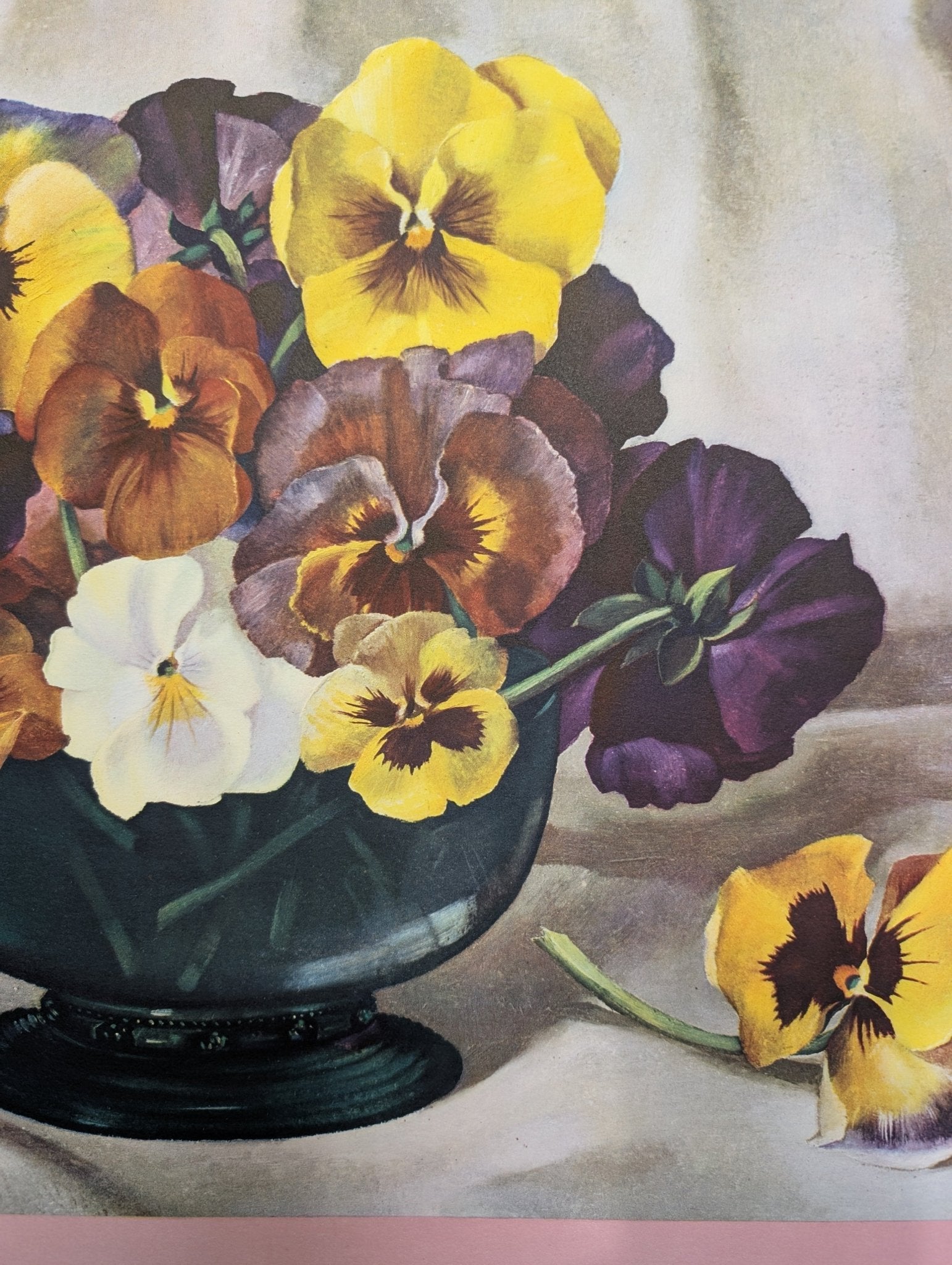 Pansies by Harry Lane | 1945 Vintage Lithograph | Still Life Floral Wall Art - Offset Lithograph - Pink Flamingos