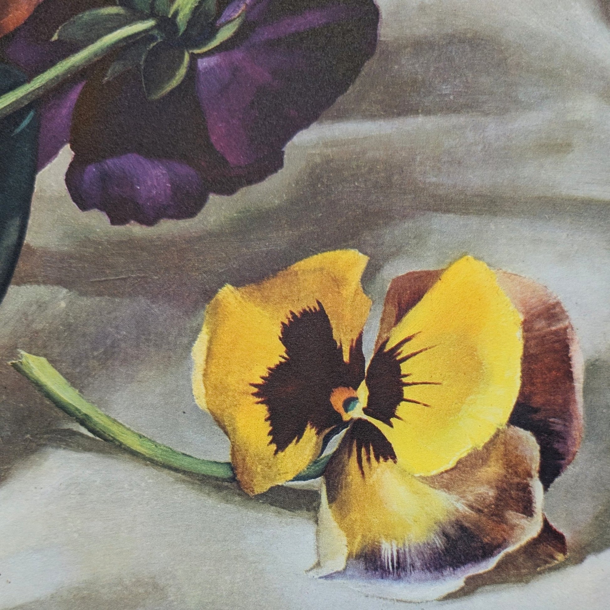 Pansies by Harry Lane | 1945 Vintage Lithograph | Still Life Floral Wall Art - Offset Lithograph - Pink Flamingos