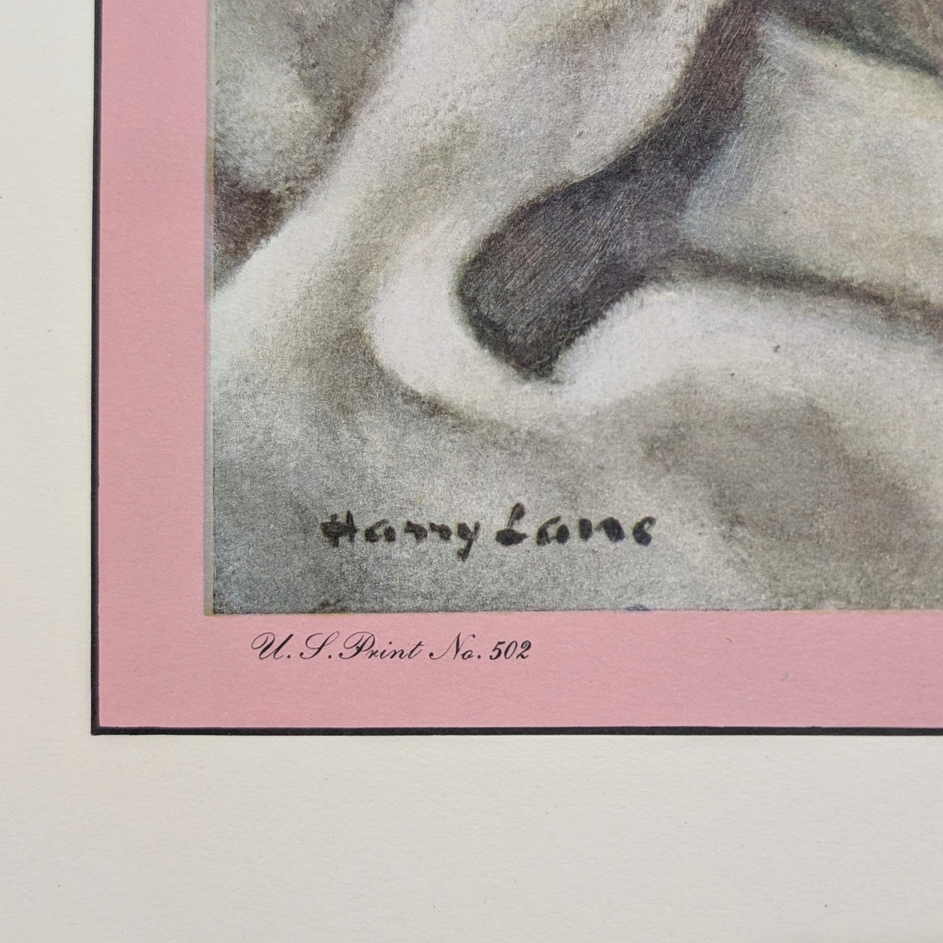 Pansies by Harry Lane | 1945 Vintage Lithograph | Still Life Floral Wall Art - Offset Lithograph - Pink Flamingos