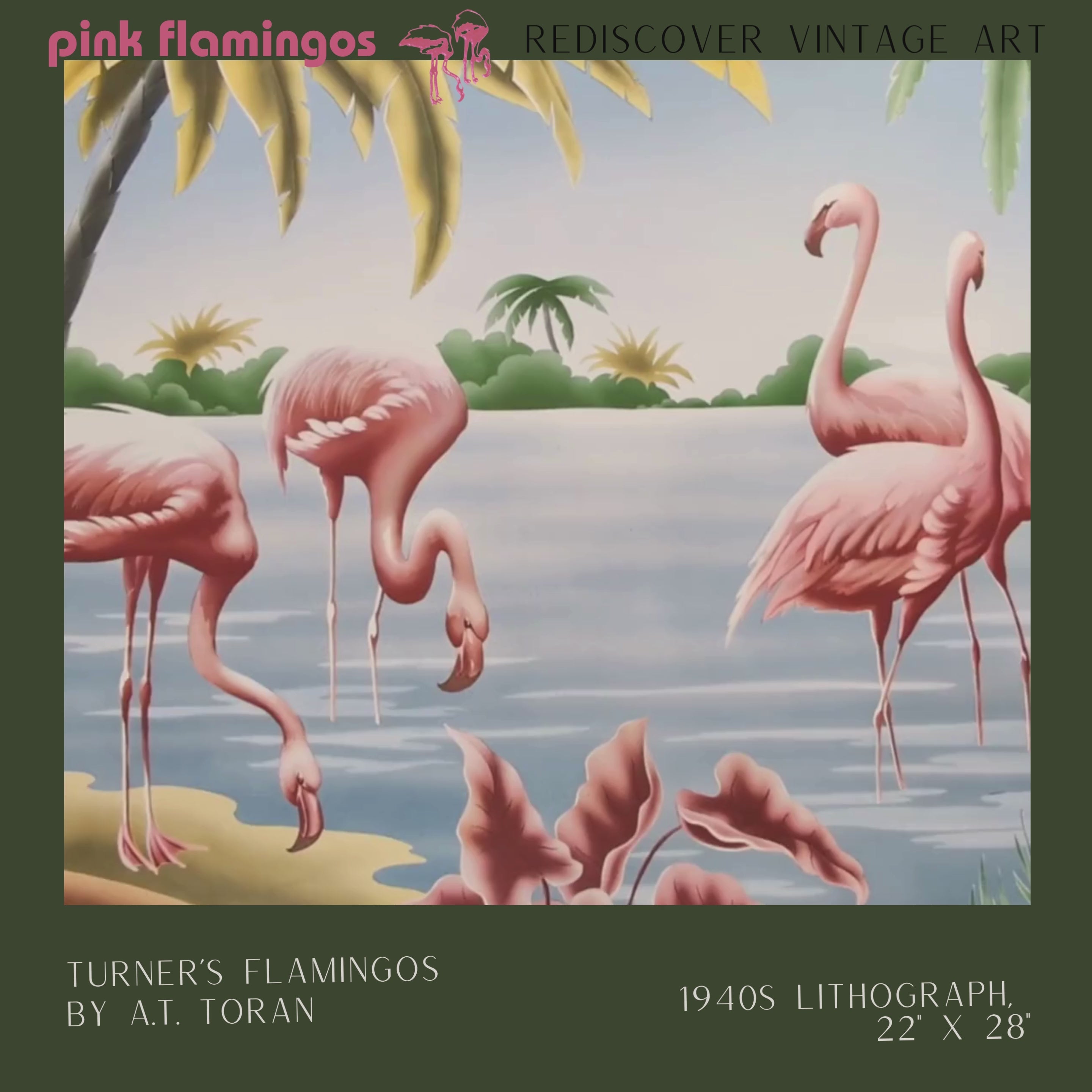 Vintage Flamingo Lithograph | A.T. Toran Art | Pink Flamingos