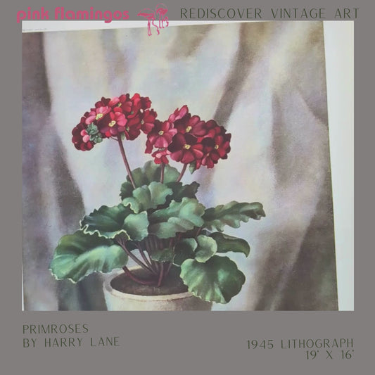 Primroses by Harry Lane | 1945 Vintage Lithograph | Still Life Floral Wall Art