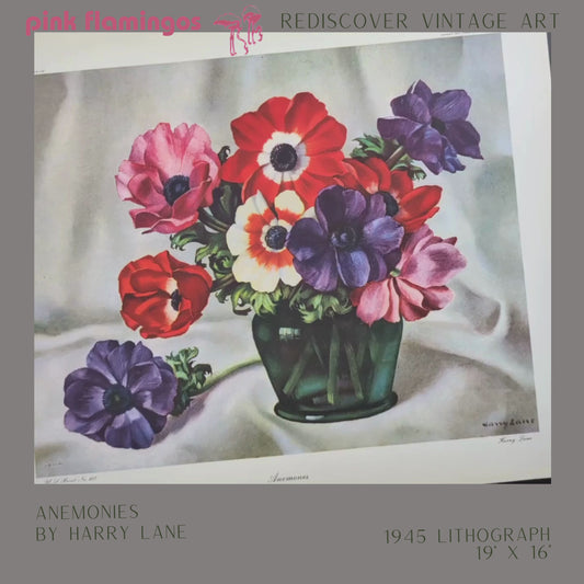 Anemones by Harry Lane | 1945 Vintage Lithograph | Still Life Floral Wall Art