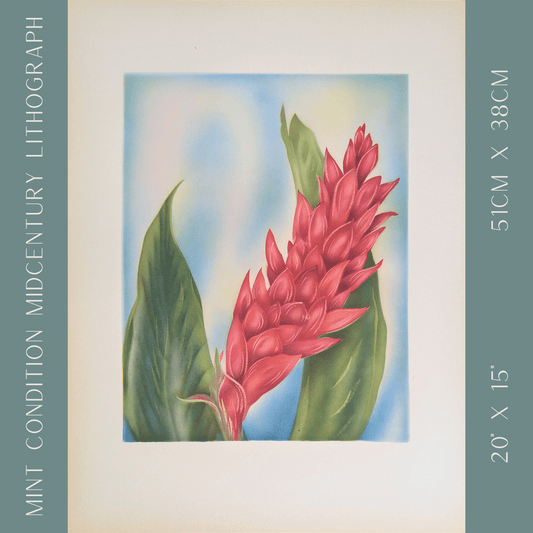 Red Ginger | 1950s Hawaiian Floral Lithograph | Vintage Tropical Wall Art - Offset Lithograph - Pink Flamingos