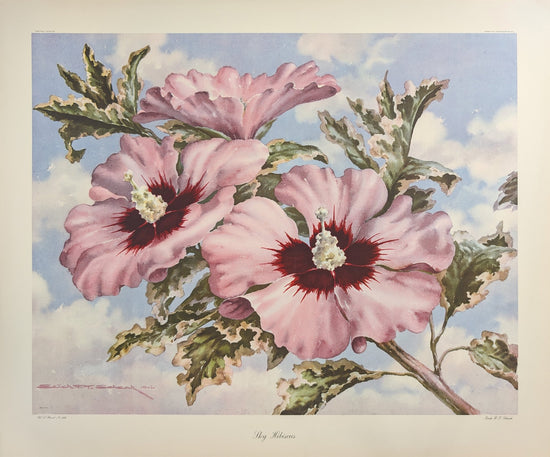 Sky Hibiscus by Erich F.T. Schenk | 1940s Vintage Floral Lithograph | Tropical Wall Art - Offset Lithograph - Pink Flamingos
