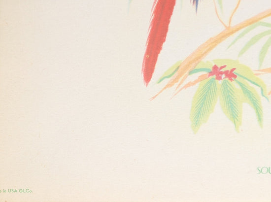 South American Macaw by Gould | 1940s Vintage Lithograph | Tropical Bird Wall Art - Offset Lithograph - Pink Flamingos