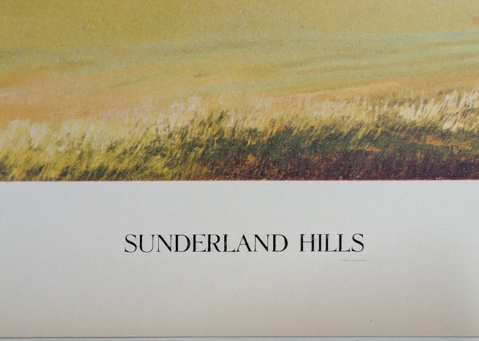 Sunderland Hills by James Ashley | 1950s Americana Landscape | Vintage Offset Lithograph - Offset Lithograph - Pink Flamingos