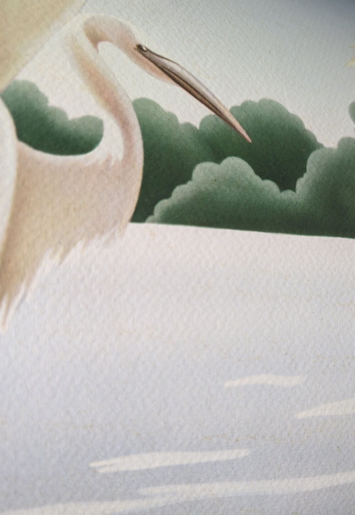Turner Egrets print paper texture close-up