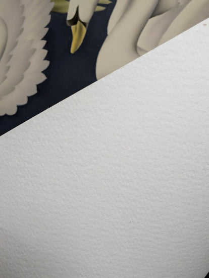 Turner Swans print paper texture close-up