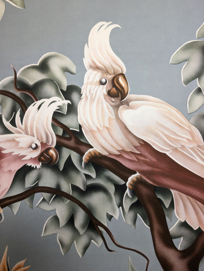 Turner Cockatoos vintage bird art detail shot