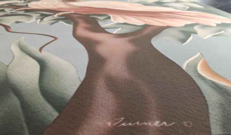 Turner Cockatoos print paper texture close-up