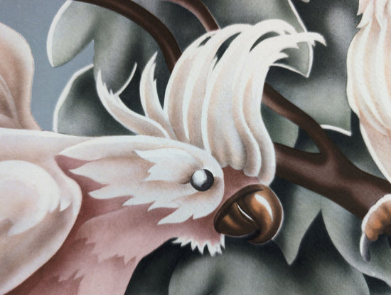 Turner Cockatoos vintage bird art detail shot