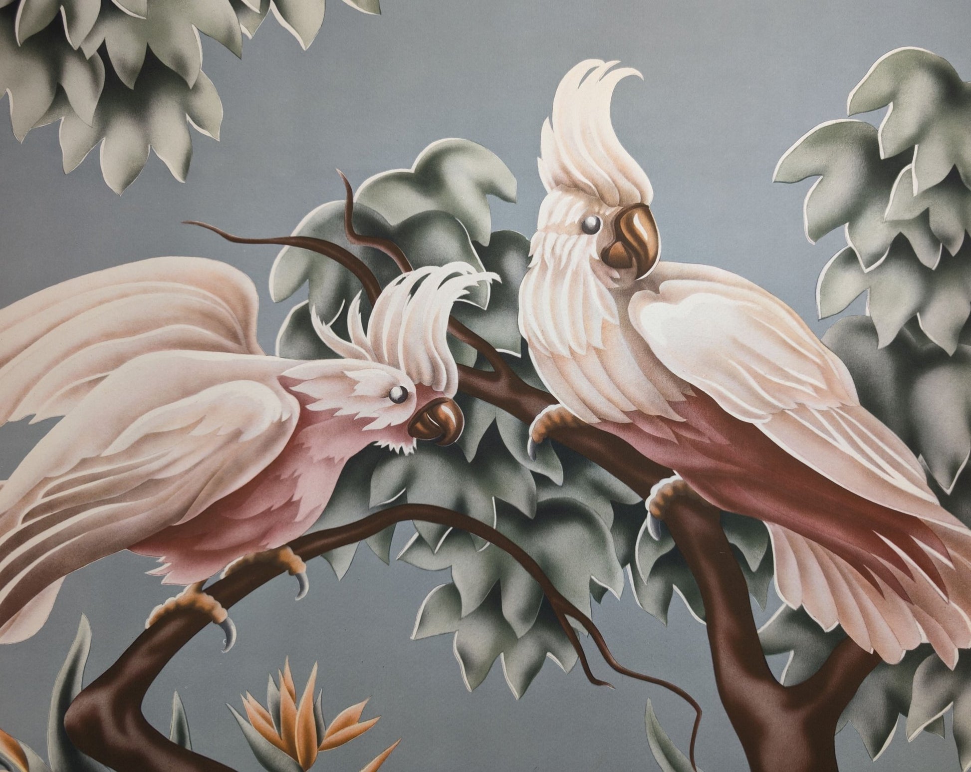 Turner Cockatoos vintage bird art detail shot