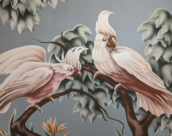 Turner Cockatoos vintage bird art detail shot