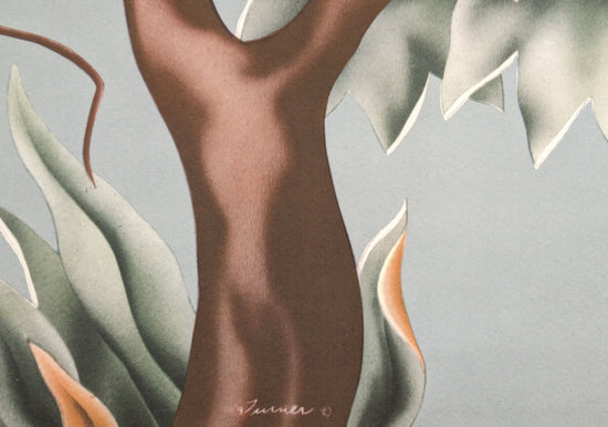 Turner Cockatoos vintage bird art detail shot