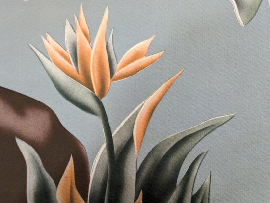 Turner Cockatoos print paper texture close-up