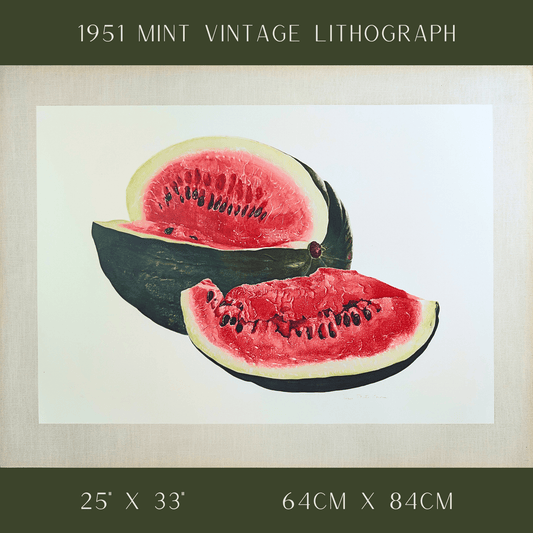 Watermelon by A.P. Lowrie, large mint condition vintage collotype printed in 1950 - Collotype - Pink Flamingos