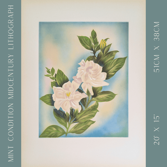 White Gardenia | 1950s Hawaiian Floral Lithograph | Vintage Tropical Wall Art - Offset Lithograph - Pink Flamingos