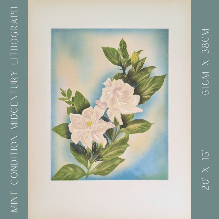 White Gardenia | 1950s Hawaiian Floral Lithograph | Vintage Tropical Wall Art - Offset Lithograph - Pink Flamingos