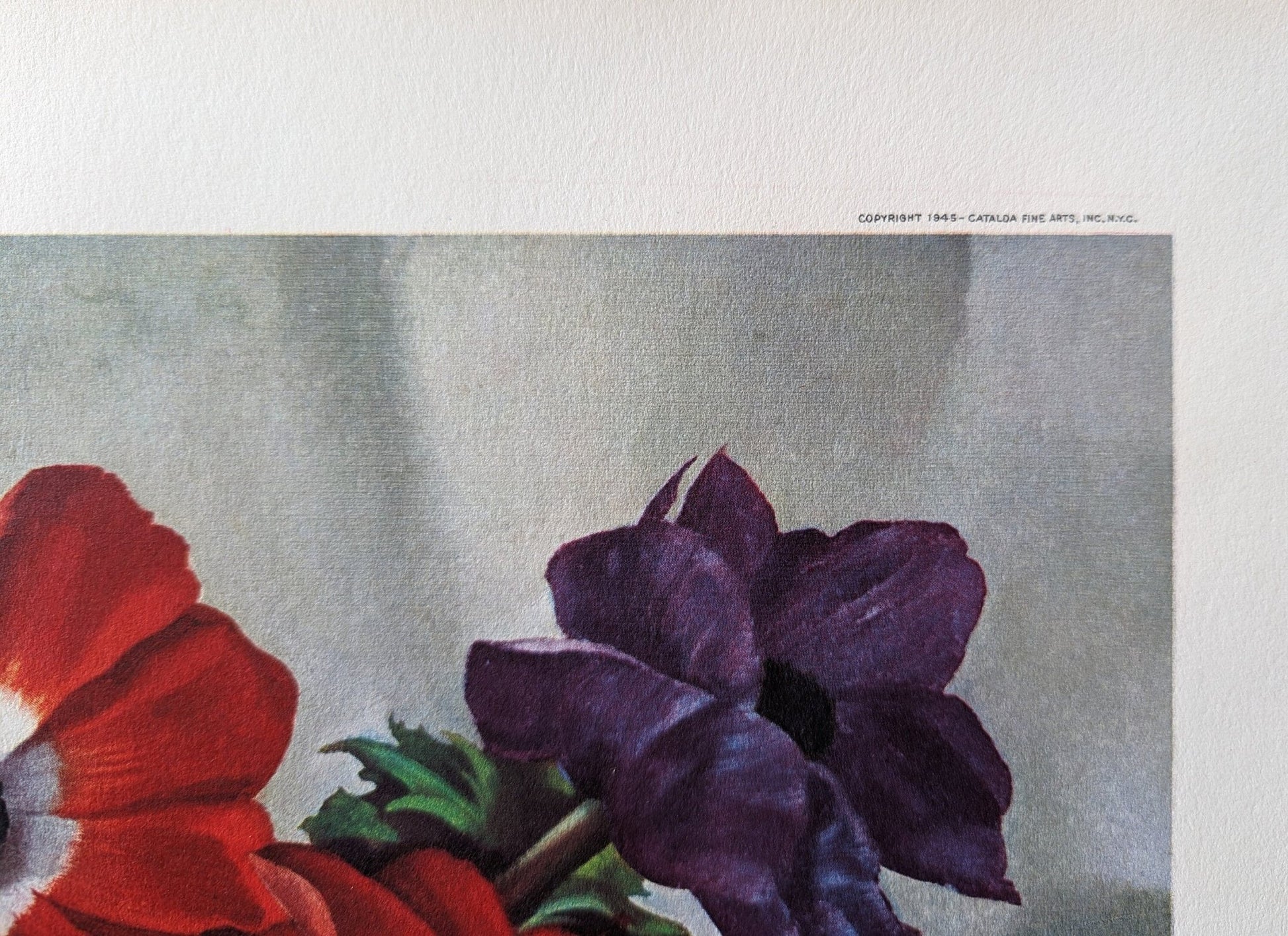 Anemones, still life by Harry Lane, mint condition vintage lithograph printed in 1945 - Pink Flamingos