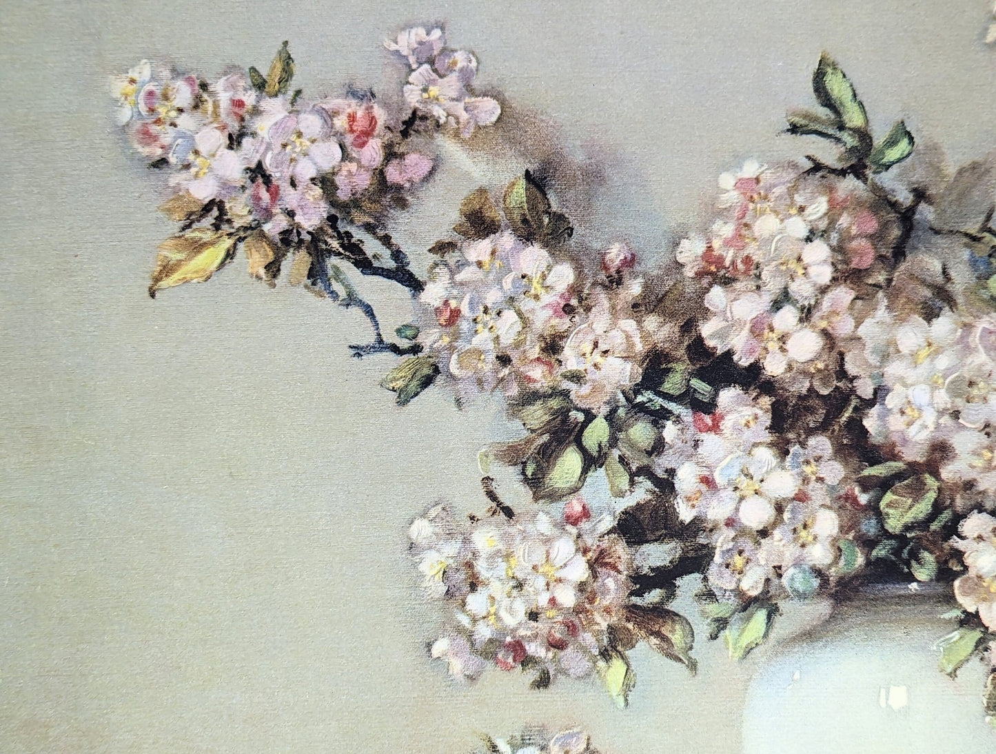 Apple Blossoms by Cãrrièr - mint condition vintage Offset Lithograph printed in 1943 - Pink Flamingos