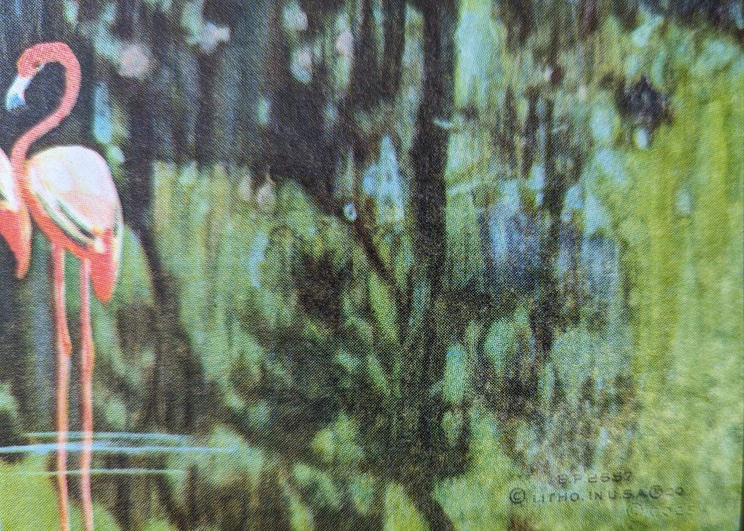 Bok Tower original mint condition vintage lithograph from hand colored photo of the famous Florida landmark by J.P. Ristig - Pink Flamingos