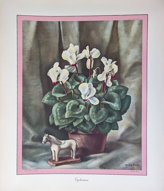Cyclamen, still life by Harry Lane, mint condition vintage lithograph printed in 1945 - Pink Flamingos
