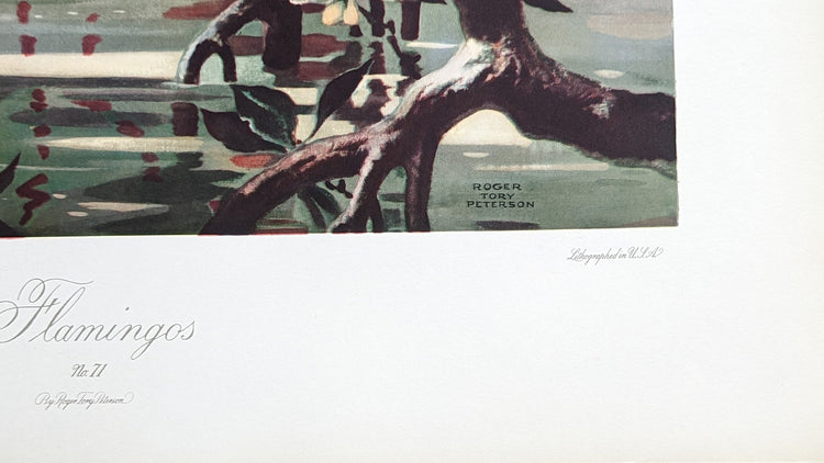 Roger Tory Peterson tropical bird lithograph, mint uncirculated condition since 1946