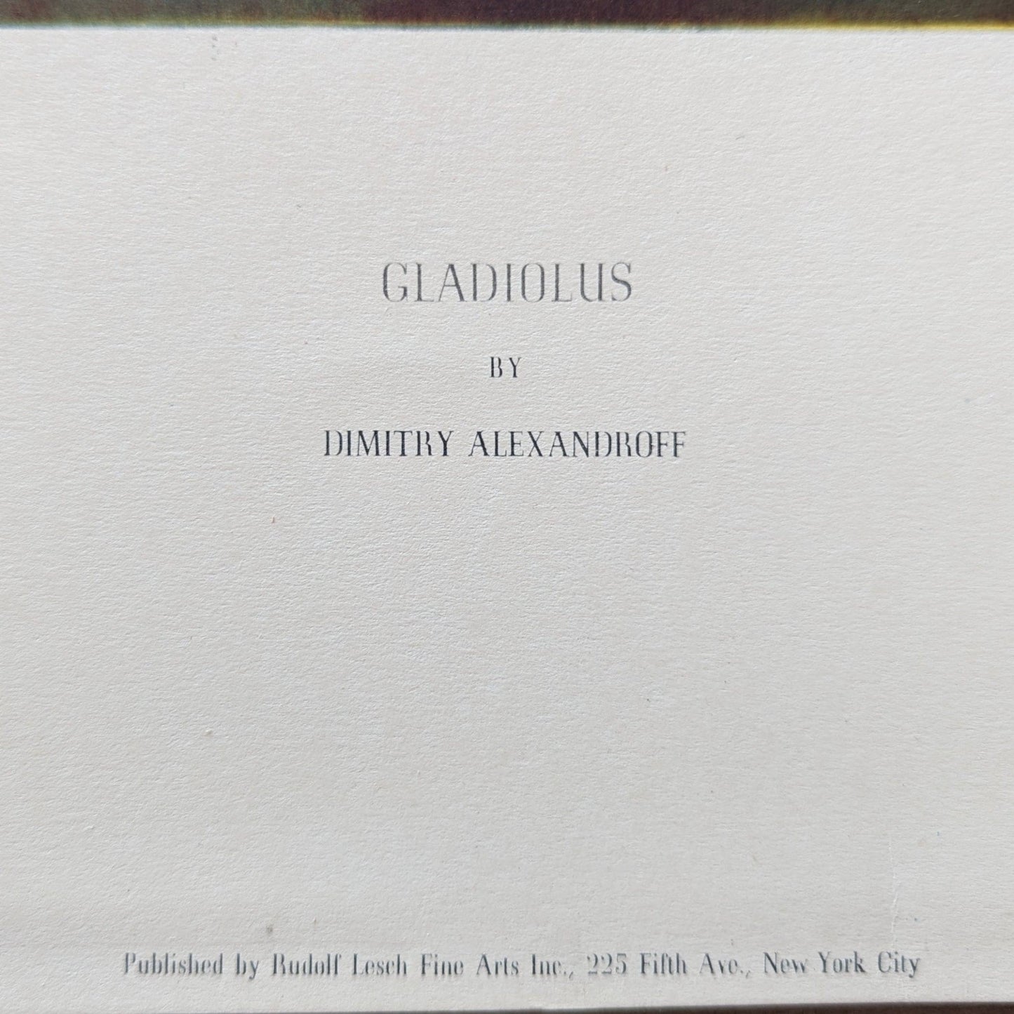 Gladiolus by D. Alexandroff, mint condition authentic vintage lithograph printed circa 1944 - Pink Flamingos