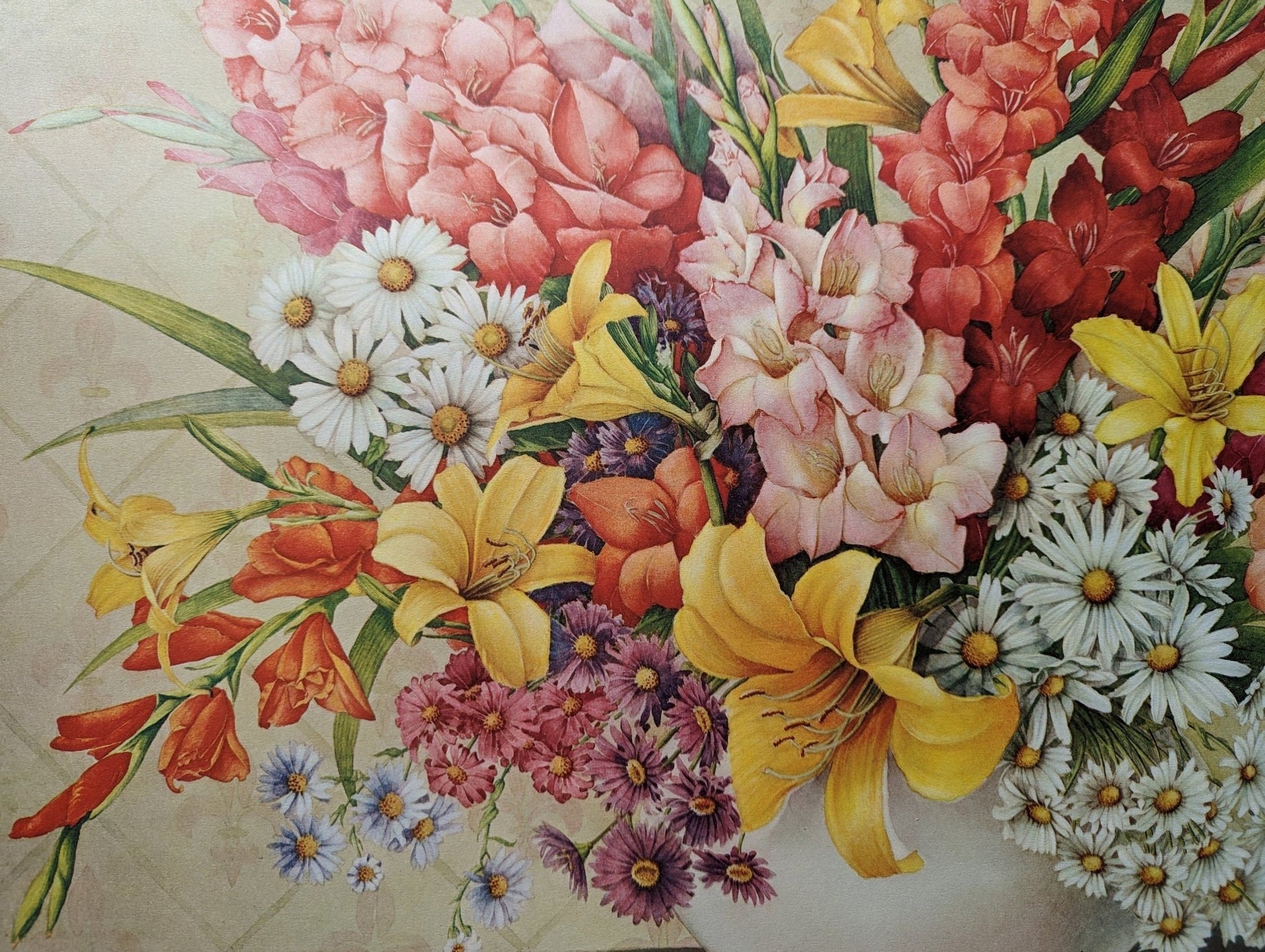 Gladiolus by D. Alexandroff, mint condition authentic vintage lithograph printed circa 1944 - Pink Flamingos