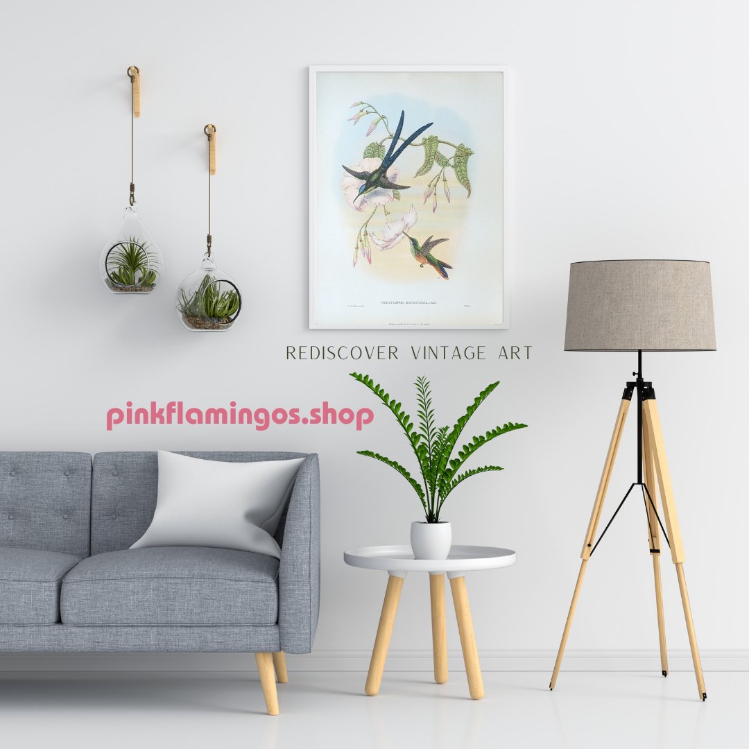 Gould Hummingbird Lithograph Set - Exclusive Collection of Four Mint Condition Vintage Prints from 1946 - Offset Lithograph - Pink Flamingos