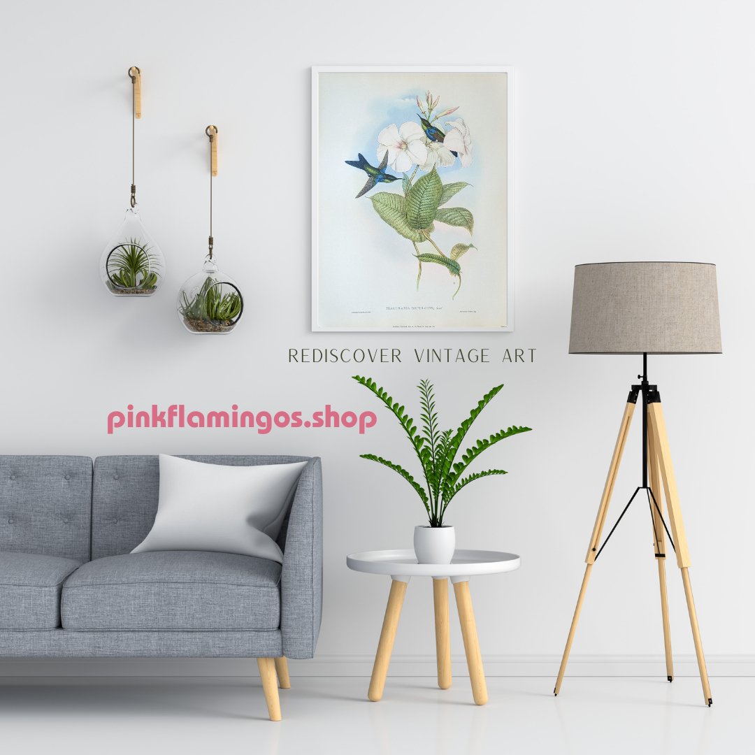 Gould Hummingbird Lithograph Set - Exclusive Collection of Four Mint Condition Vintage Prints from 1946 - Offset Lithograph - Pink Flamingos