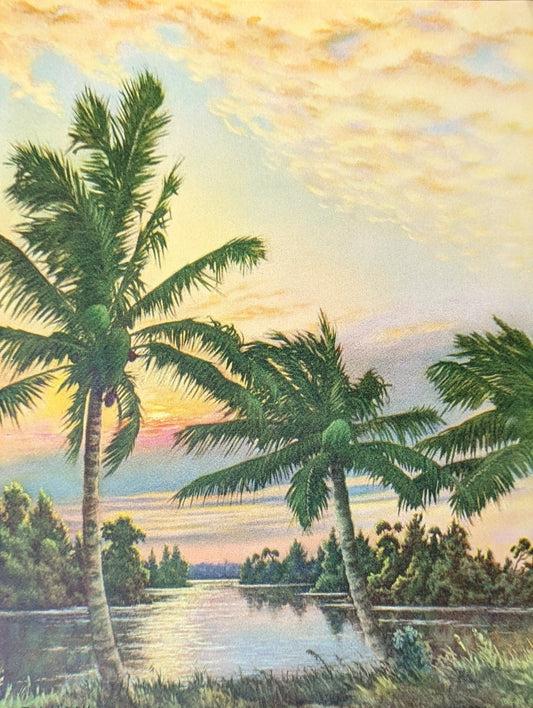 Palms at Sunset by Ogden, mint condition vintage print made before 1982 - Offset Lithograph - Pink Flamingos