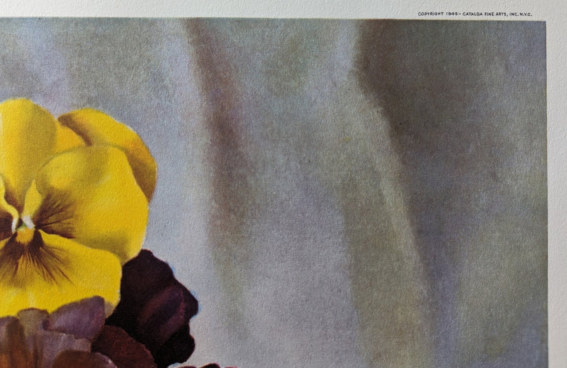 Pansies, still life by Harry Lane, mint condition vintage lithograph printed in 1945 - Offset Lithograph - Pink Flamingos